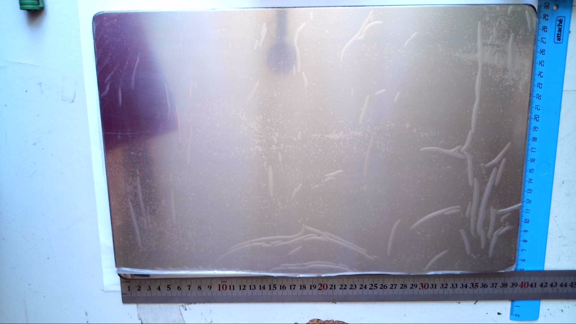Платформа металлическая TRAY для CL5000 (382*264*1t)