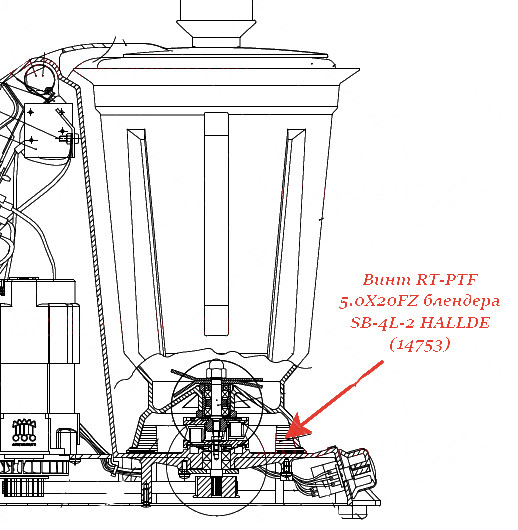 ВИНТ, RT-PTF 5.0X20FZ для блендера/куттера Hallde