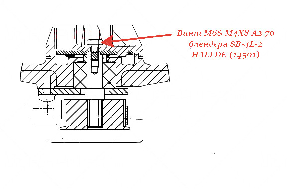 ВИНТ, M6S M4X8 A2 70 для блендера Hallde