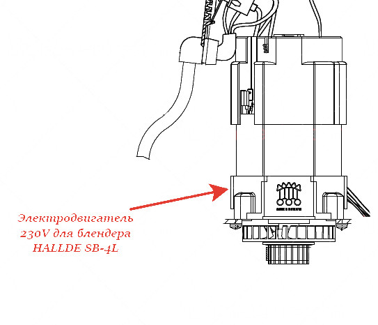 ДВИГАТЕЛЬ, 220-240 1 50/60 для блендера Hallde
