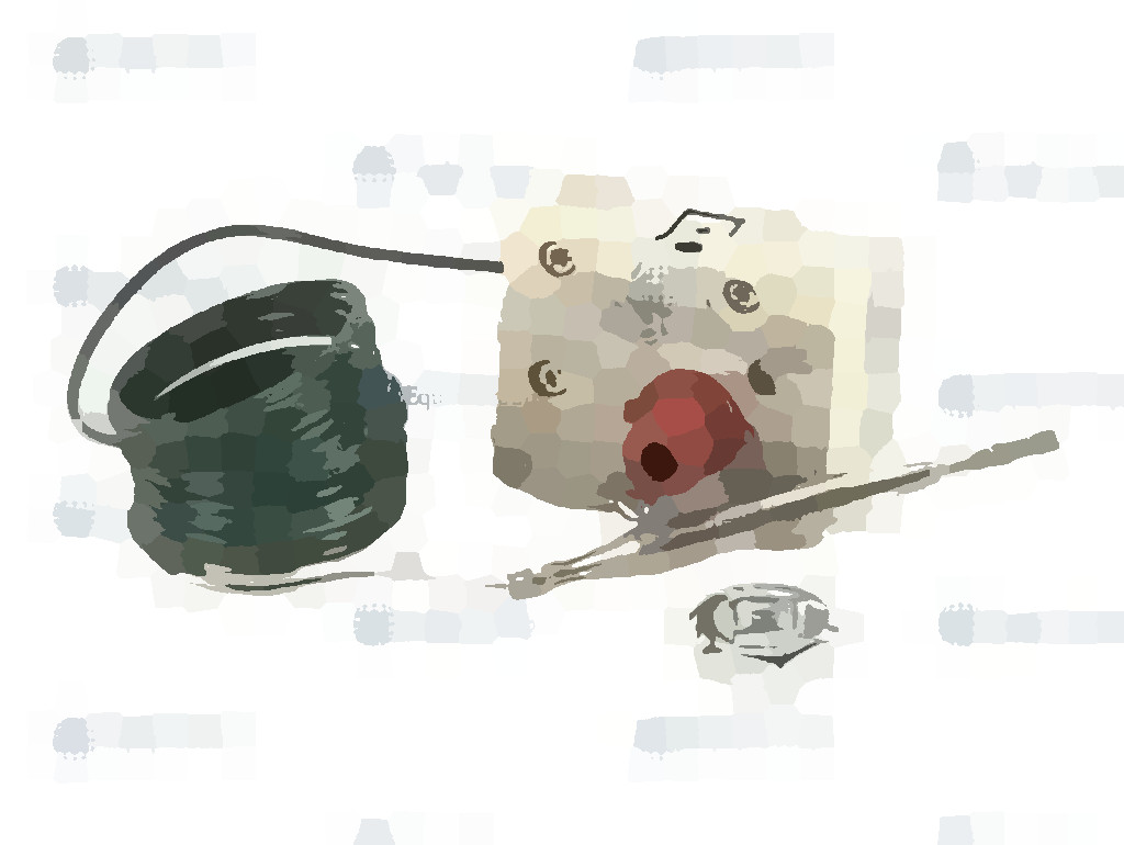 Термостат Rational аварийный 183°с SCC 61-202/E начиная с 04/2004 арт.40.01.329S
