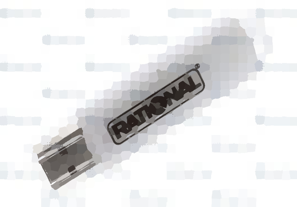 Флэш-карта USB Rational *SCC_WE* &amp;amp;amp; *CM_P*